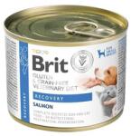 Brit Veterinary Diet Grain Free Recovery 200 g lazac és csirke máj kutyáknak és macskáknak lábadozás alatt