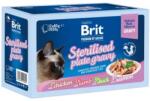 Brit Premium Cat Delicate Fillets in Gravy Family Plate Sterilised 36 x 85 g