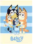 Ludo Studio Bluey Happiness polár takaró, pléd 100x140 cm Nr3