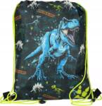 Starpak Cipőtartó Táska. Dino (550836)