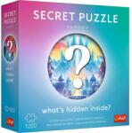 Trefl Puzzle Trefl 1000 Premium Plus Puzzle Secret Aurora (12105) Puzzle