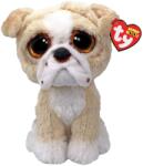 Plus 15cm Plus Ty 15cm Boos Pooch Cainele Taur Englezesc Cafeniu (ty37371)
