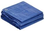 SPRINGOS Vastag védőponyva, 60g/m2, 4x6m, Kék (GA-2117-3115)