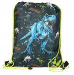 Starpak Dino Cipőtartó Táska (550836)