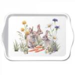 Ambiente Műanyag kistálca - 13x21cm - Carrot treat