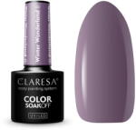 Claresa Hibrid Lakk Winter Wonderland 8 5 G Sláger