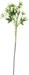 House Doctor Floare artificială House Doctor Eryngium, crem (900001469)