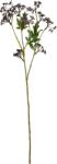 House Doctor Floare artificială HDGreenleaves, violet (900001459)