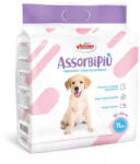 AssorbiPiu Size S, 40x60 cm, 11 pcs