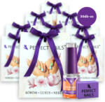 Perfect Nails Karácsonyi Ajándékcsomag Szalonvendégeknek - 30 darabos - Perfect Nails