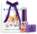 Perfect Nails Karácsonyi Ajándék Szalonvendégeknek - Perfect Nails (PNKG134) - nutri1
