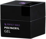 Perfect Nails Perfect PolyAcryl Gel - Polygel Clear 15g - Perfect Nails (PNZ4053) - nutri1