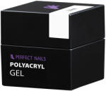 Perfect Nails Perfect PolyAcryl Gel - Polygel White 15g - Perfect Nails (PNZ4054) - nutri1