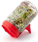 Rédei Réde csíráztató üvegedény 1 db