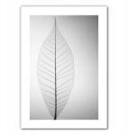  Fali poszter levéllel, fali dekoráció, fekete-fehér poszter - allegro - 4 555 Ft