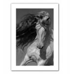  Ló poszter, poszter a nappaliba, fali dekorációk, ajándék lószeretőnek - allegro - 3 185 Ft