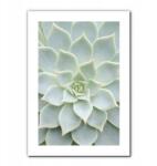  Poszter Világos Szukkulens - Modern Lakberendezési Dekoráció - A4