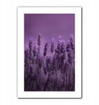  Növények ihlette poszter, botanikai poszter, poszter előszobába