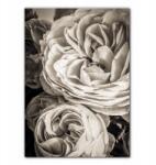  Rózsás poszter, szépia poszter, dekoráció dolgozószobába, poszter kávézóba - allegro - 3 640 Ft