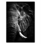  Modern Poszter Nappaliba Elefánt (A4) - allegro - 2 730 Ft