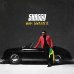 Polydor 2LP Shaggy: Wah Gwaan? ! CLR