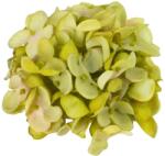  Hortenzia virágfej 10cm zöld - kosarbolt