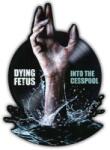 Relapse Records SP Dying Fetus: Into the Cesspool (RSD Black Friday 2025)
