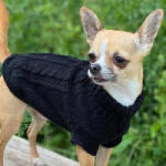  Kutyaruha - Kutyapulóver - kutyapulcsi, Kötött Garbós - meleg - sötétkék - XXS - sötétkék