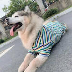  Kutyaruha - Csíkos pamut ing minden mèretben - 2XL