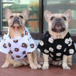  Kutyaruha - Rövidujjú, virágmintás kutyapóló - kétféle színben - XL - fekete