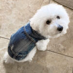  Kutyaruha - Kutyakabát - Kutyamellény - Ujjatlan, tépett farmer Kutyamellény 3színben - XL - kék