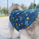  Kutyaruha - Kutyamellény - Ujjatlan Farmer Kutyamellény - Csillagos Mintával - nagy kutyáknak 4XL - 6XL - 5XL - kék