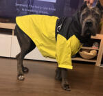  Kutyaruha - Kutyakabát - kutyamellény - Kutyaesőkabát - Extra minőség, két részes kabát és külön mellény, S - 6XL - M - neonzöld/sárga