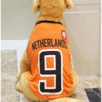  Kutyaruha - Sportmez - Holland - 5XL