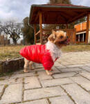  Kutyaruha - Kutyakabát - Szőrmés, bélelt - többféle színben - M - kék