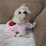  Kutyaruha - Bundás, meleg overál - overall - kezeslábas, tökéletes piszi vagy otthonka- eper mintával , kényelmes és stílusos - M