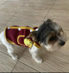  Kutyaruha - Kutyamellény - Bordó kutyamellény, sárga szegéllyel és kiskacsa plüssel - M