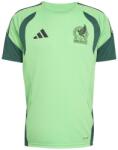 adidas Mexico Training Shirt 2026 Mens - Green/White