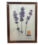 P&O Fahatású műanyag fényképkeret - 21x30 cm - sotetbarna (YY8064-21X30SOTETBARNA)