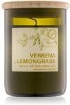 Paddywax Eco Green Verbena & Lemongrass 226 g
