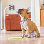 LickiMat Soother nyalószőnyeg kutyáknak - rózsaszín