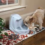 PetSafe Platinum - szökőkút kutyusoknak - 5 L (PF-D2-EU-45)