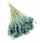 Enchanted Szárított kakukkfű menta (TYMOTKA MIETOWA)