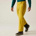 DARE 2B Achieve II Pant férfi sínadrág 20.000 mm sárga