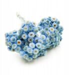 Enchanted Szárított olasz macskagyökér (Helichrysum italicum) Kék (KOCANKA WLOSKA NIEBIESKA)