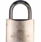 RICHMANN Patinás Lakat 60 MM (C9326)