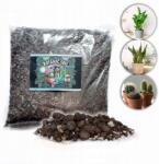  Bigos Kaktuszokhoz És Pozsgásokhoz 10L talaj szubsztrátum Botanic Soil Succulent (5906954402042)
