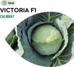 HEKTAR Seminte Varza Victoria F1 - 2.500 sem, HEKTAR SEEDS (HCTG01977)