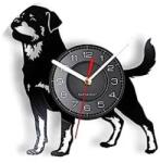  BORDER COLLIE- ceas de perete