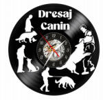  DRESAJ-ceas de perete (personalizabil)